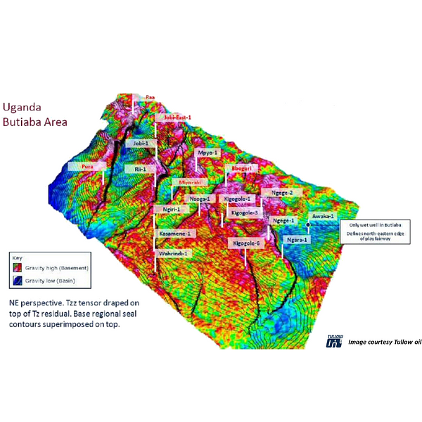Bell Geospace Air-FTG® maps 100% of 28 proven wells in Uganda
