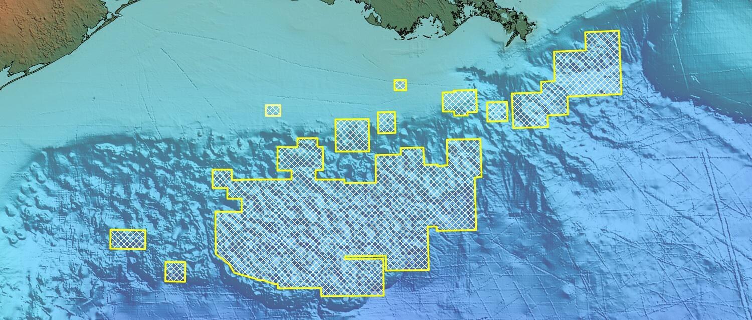 Gulf of Mexico Multi-Client Programme